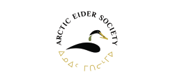 Arctic Eider Society