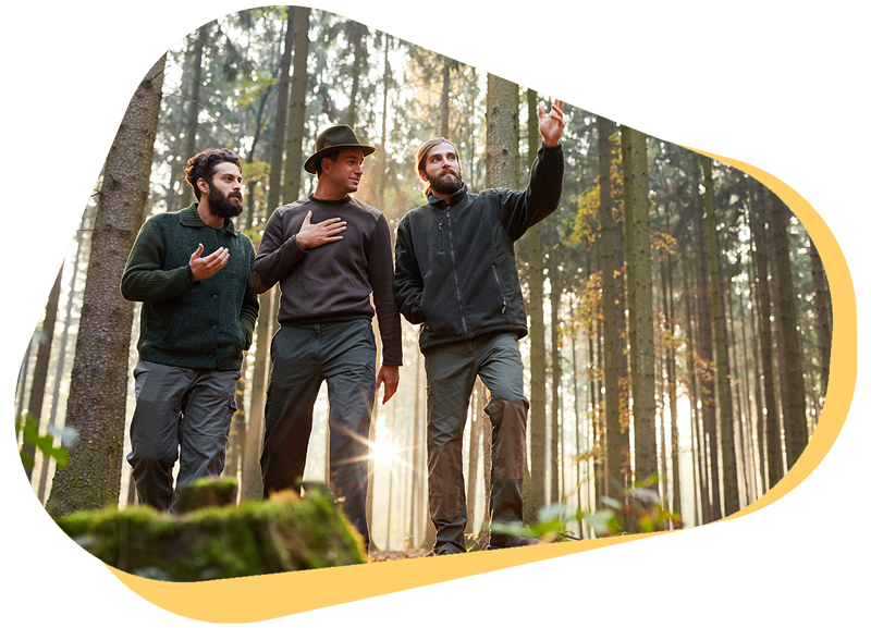 stakeholder-management-in-forestry