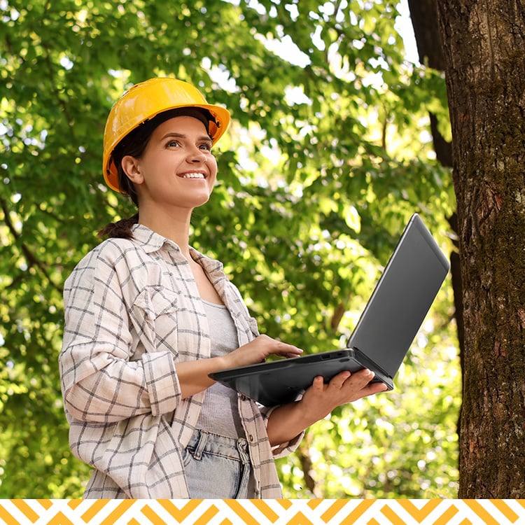 stakeholder-management-software-for-forestry