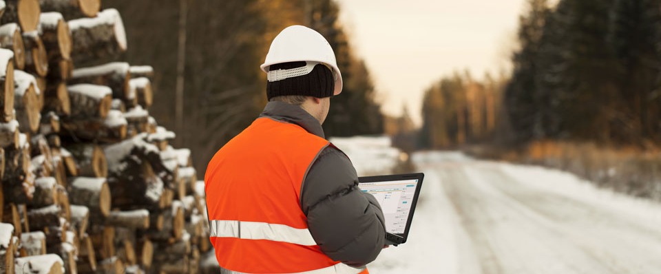 Forester-using-Jambo-in-the-field