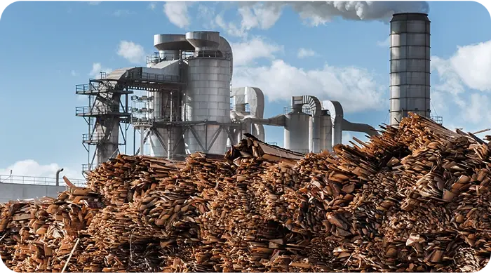 mercer-case-strudy-ppc